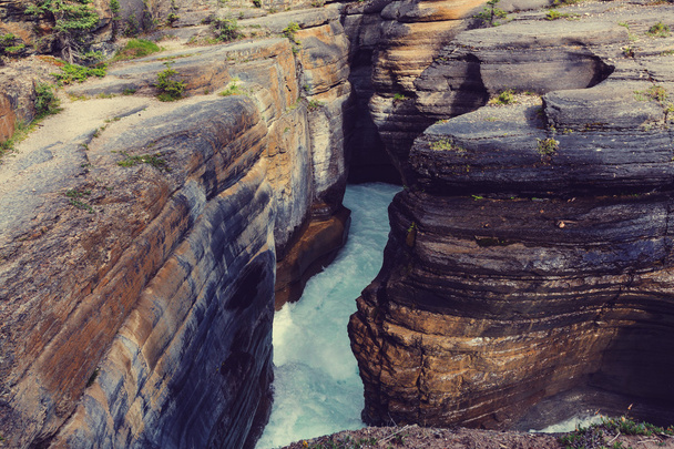 Athabasca rzeki, Park Narodowy Jasper - Zdjęcie, obraz