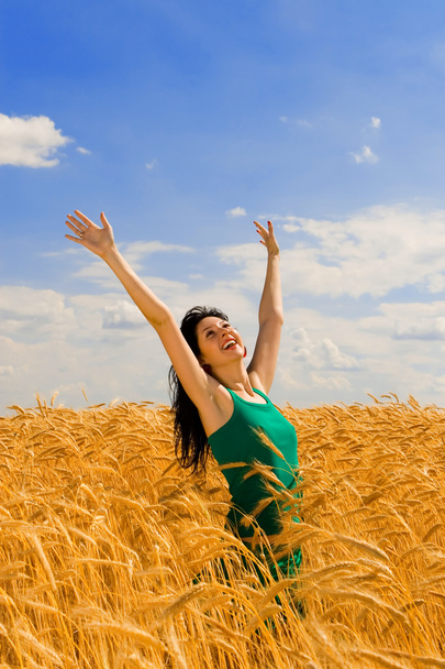Pretty woman in golden wheat - Photo, image