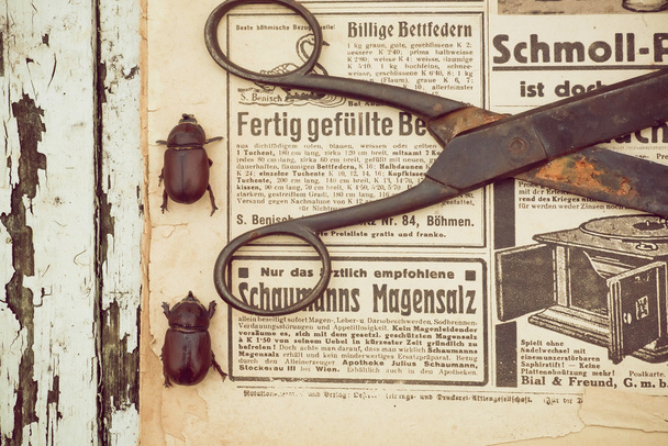 Maaseudun asetelma ruosteinen sakset ja viat käynnissä taustalla vanha sanomalehti
   - Valokuva, kuva
