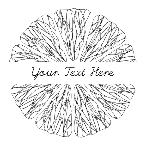 Textura de fruta cítrica. Sketch Frame. Pluma de tinta. Bac blanco y negro
 - Vector, imagen