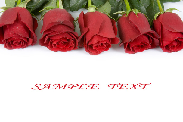 Bouquet of red roses - Fotografie, Obrázek