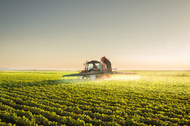 Tractor spraying pesticides  - Photo, Image