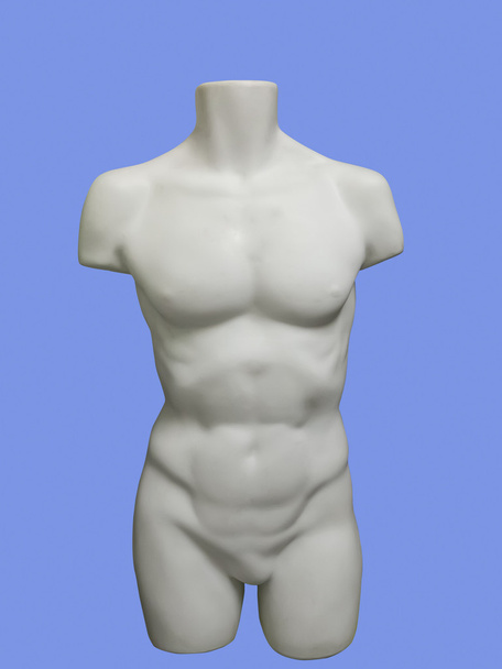 Αρσενικό μανεκέν γυμνό κορμό. - Φωτογραφία, εικόνα