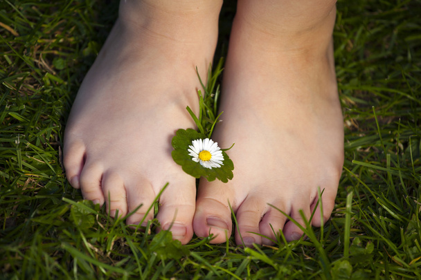 Childs feet with flower - Foto, afbeelding