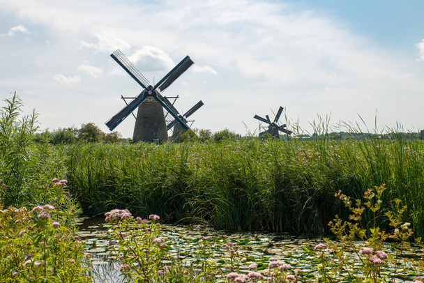 Historiallinen tuulimylly Alankomaissa
 - Valokuva, kuva