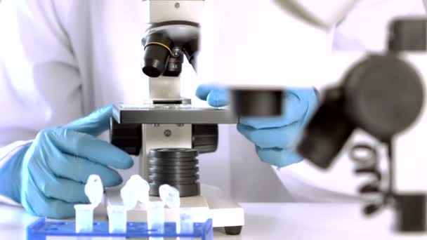 Researcher Working in Lab With Microscope.researcher in biochemical lab - Video, Çekim