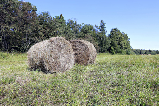 Haystacks en la granja
 - Foto, imagen