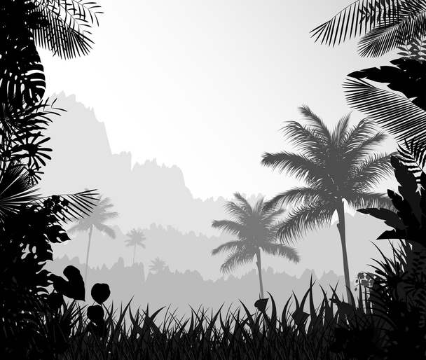 Le paysage forestier de brouillard avec palmier
 - Vecteur, image