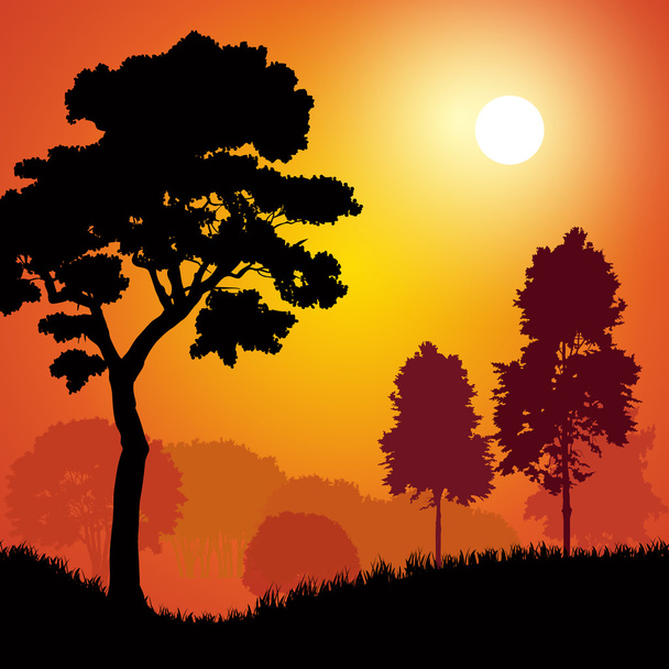bomen bij zonsondergang - Vector, afbeelding