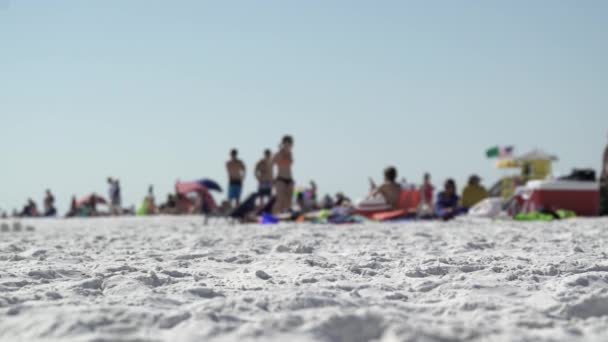 Сцена на типовий Флорида пляжі - Кадри, відео