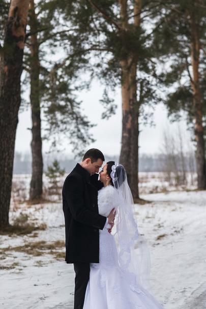 Young couple newlyweds walking in a winter forest in the snow - Valokuva, kuva