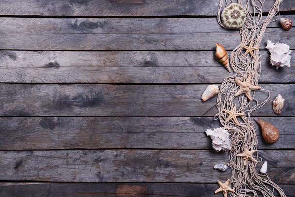 Seashells on brown wooden table - Фото, зображення