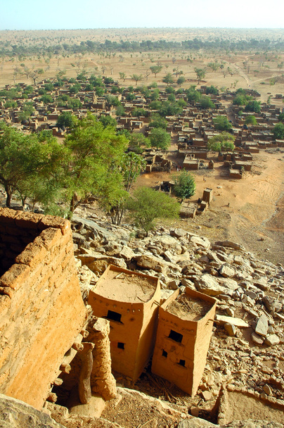 Vertical overview of a Dogon village - Photo, Image