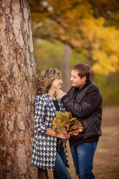 Couple in Autumn Park - Fotó, kép