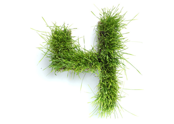 Numbers made of grass - 4 - Photo, Image