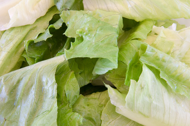 Macro of green leaf lettuce - Fotoğraf, Görsel