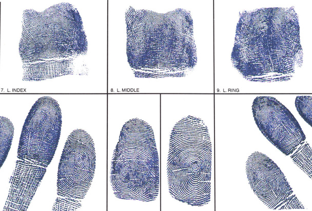 a Fingerprint card - Photo, Image
