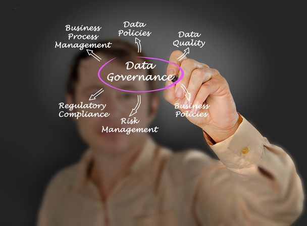Diagrama de Gobernanza de Datos
 - Foto, Imagen