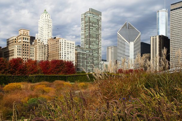 Rascacielos en Chicago en otoño
 - Foto, Imagen