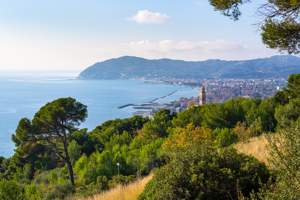 Оливковые деревья и морские сосны на побережье Италии, Лигурия
 - Фото, изображение
