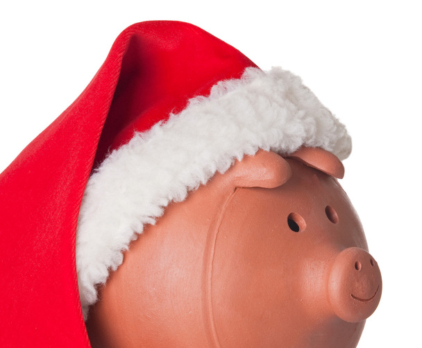 Piggy bank with Santa Claus hat - Foto, afbeelding