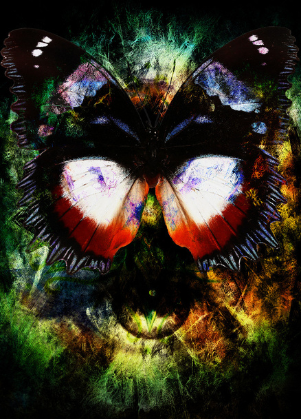 bir kelebek ve kadın göz, karışık orta, soyut renkli arka planı gösteren resim. - Fotoğraf, Görsel