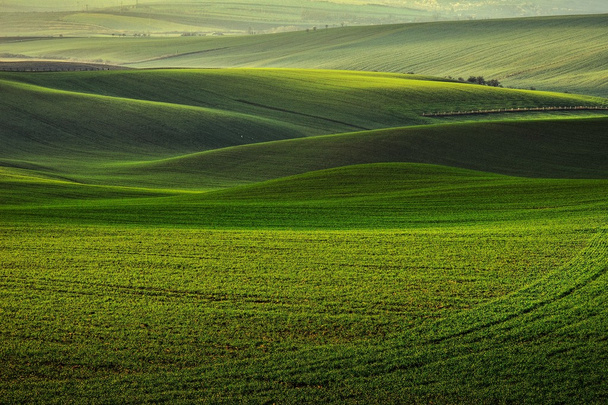 Today in South Moravia - Photo, Image
