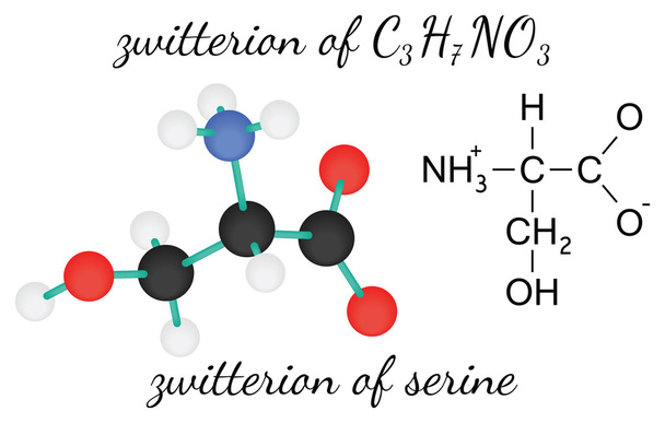 セリンのアミノ酸分子の C3h7no3 両性イオン - ベクター画像