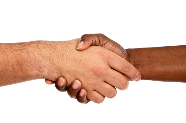 handdruk tussen rassen - Foto, afbeelding