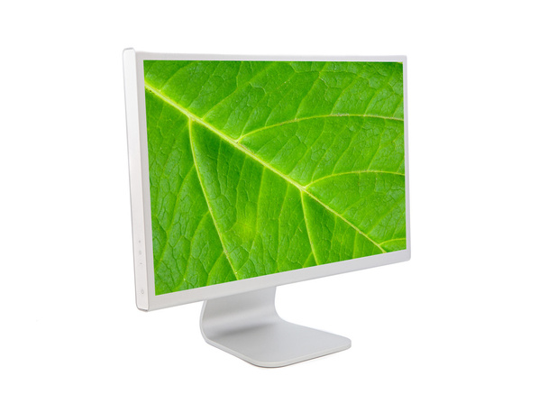 Computer monitor with leaf wallpaper - Foto, Bild