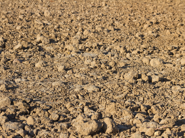 Cultivated plowed field. - Photo, Image