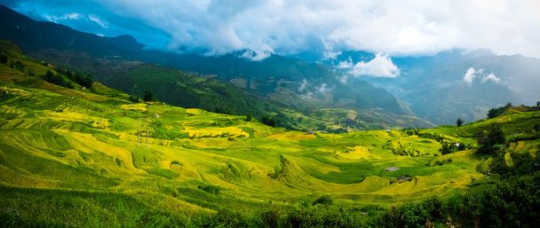 Рисовые поля на террасе Сапа, Лаокай, Вьетнам
 - Фото, изображение