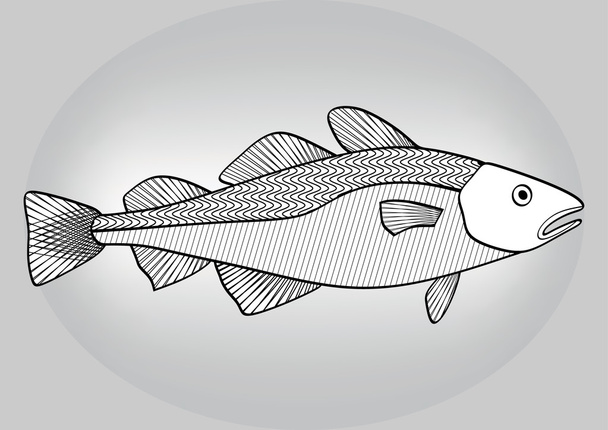 Kabeljauw, zwart-witprinter uitgebroed tekening een grijze achtergrond met kleurovergang - Vector, afbeelding