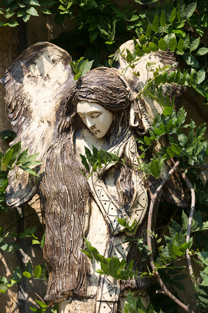 Різьблена дерев'яна статуя ангела
 - Фото, зображення