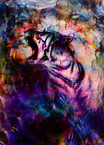Tygrys łagodny portret. kolaż komputera. Streszczenie tło kolor. Koncepcja zwierząt. - Zdjęcie, obraz