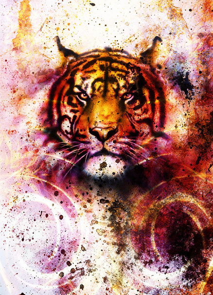 tiger collage on color abstract  background,  rust structure, wildlife animals, computer collage. - Photo, Image
