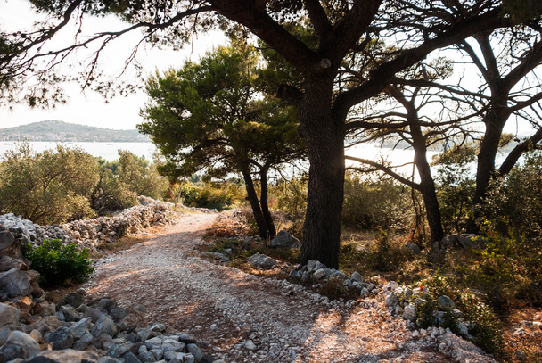 Stone path in Croatia - Фото, зображення