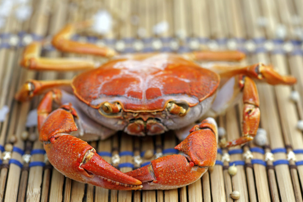 Crabes rôtis non habillés préparés sur assiette
. - Photo, image