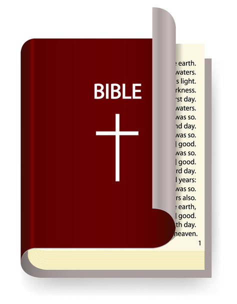 Vector Holy Bible isolated on white - Vector, Image