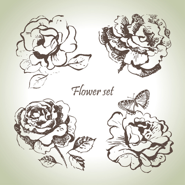 花のセット。バラの手描きイラスト - ベクター画像