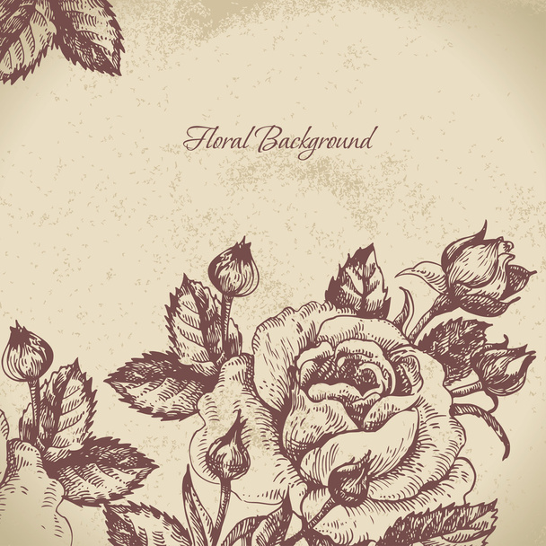 Floral background with roses - Vector, Image