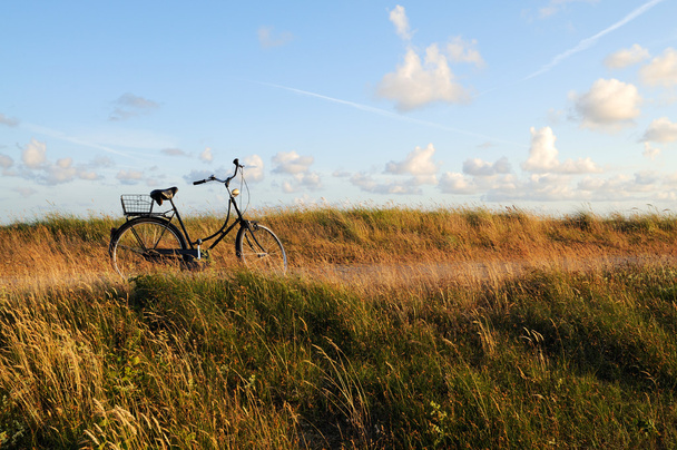 Велосипед на прибережній дошці
 - Фото, зображення