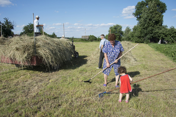 Летняя маленькая кудрявая девочка помогает взрослым сгребать сено и надевать его
  - Фото, изображение