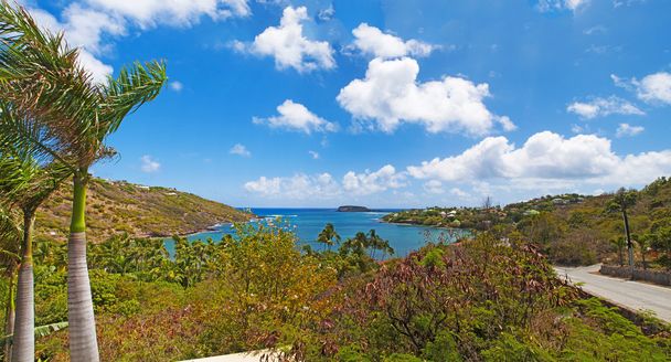 Сен-Бартелемі (Санкт-Барт, Санкт Barths або Сент-Бартелемі), Карибського моря: пташиного польоту відокремлений пляж і затоку Marigot в північно-східній частині острова - Фото, зображення