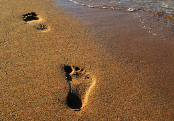 empreinte sur le sable - Photo, image