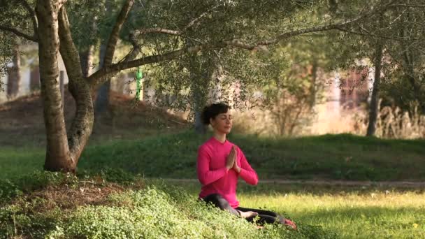 fiatal nő gyakorlás a meditáció a parkban - Felvétel, videó