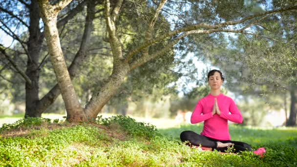 Mladá žena cvičí meditaci venku - Záběry, video