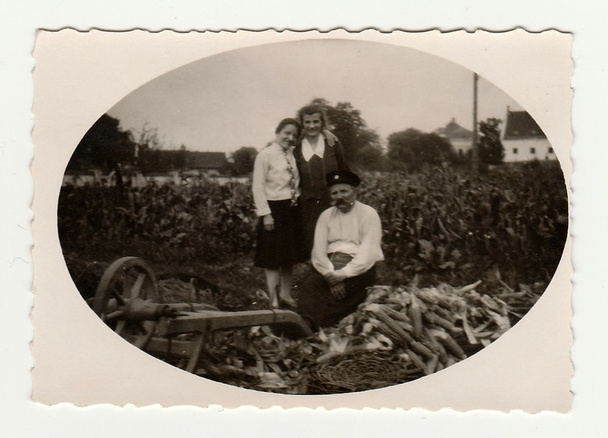 Família no campo de milho. Fotografia vintage foi tirada na República Checa. Os anos 30
 - Foto, Imagem