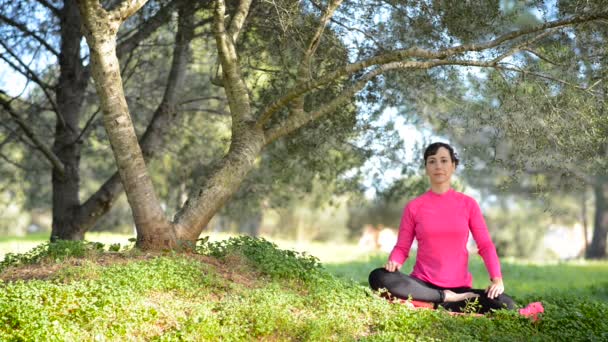 junge kaukasische Frau praktiziert Meditation im Park - Filmmaterial, Video