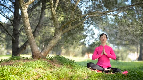 femme caucasienne pratiquant la méditation dans le parc
 - Séquence, vidéo